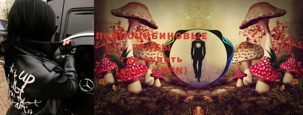 хмурый Алексеевка